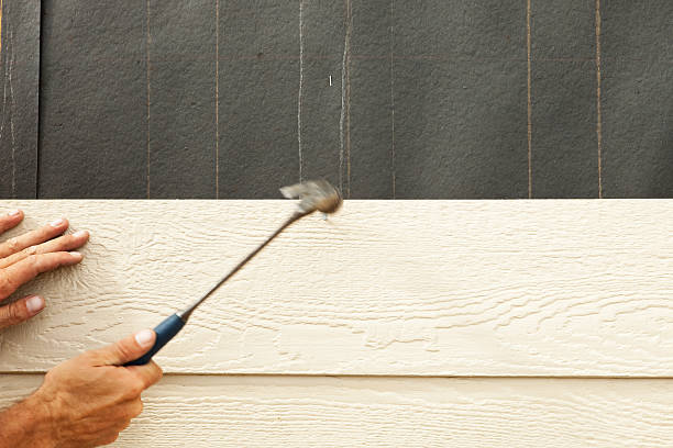 Best Siding Maintenance  in Southmayd, TX